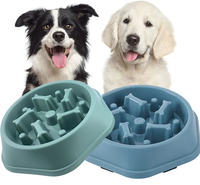 Slow Feeder Dog Bowl - Slobberfeast