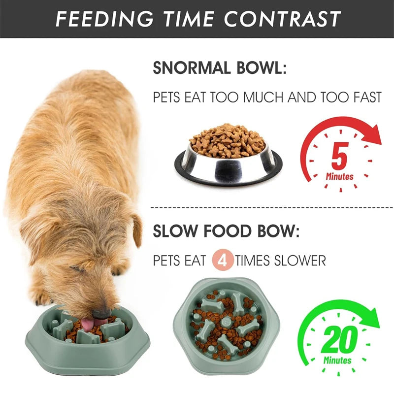 Slow Feeder Dog Bowl - Slobberfeast