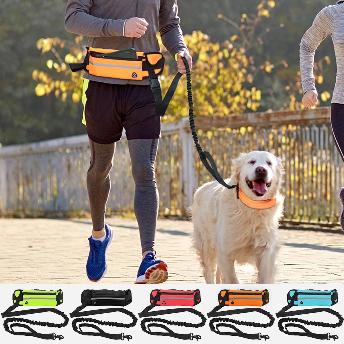 Hands-Free Dog Leash for Running & Walking - Slobberfeast