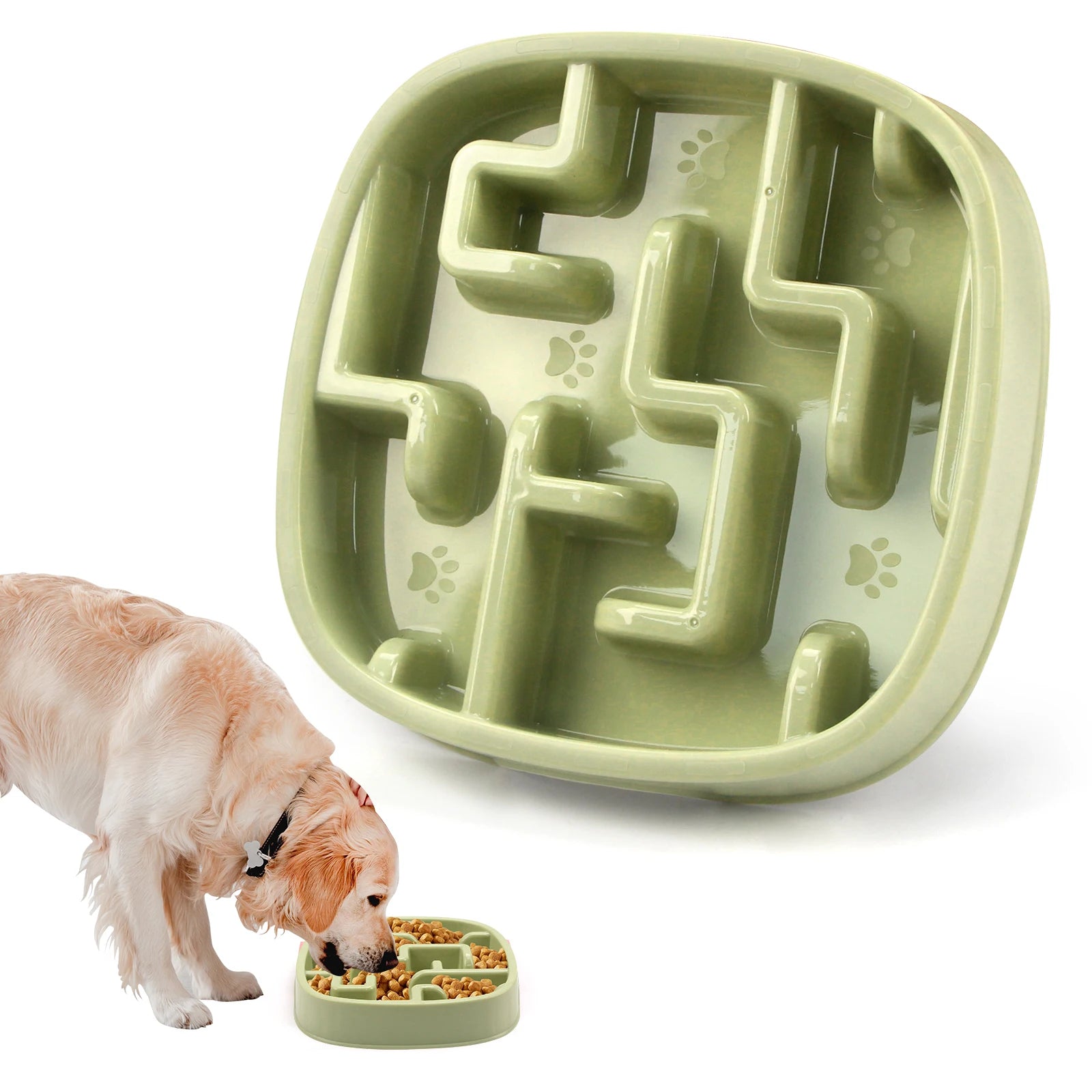 Anti-Choking Slow Feeder Bowl for Dogs & Cats