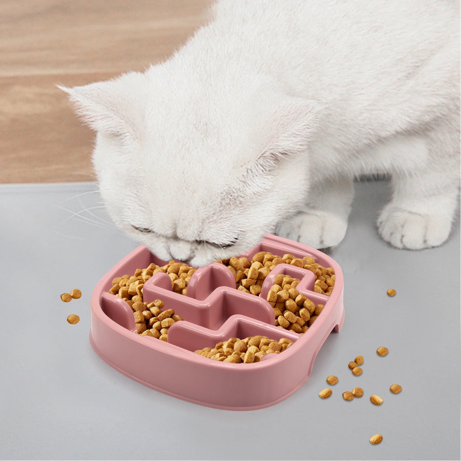 Anti-Choking Slow Feeder Bowl for Dogs & Cats