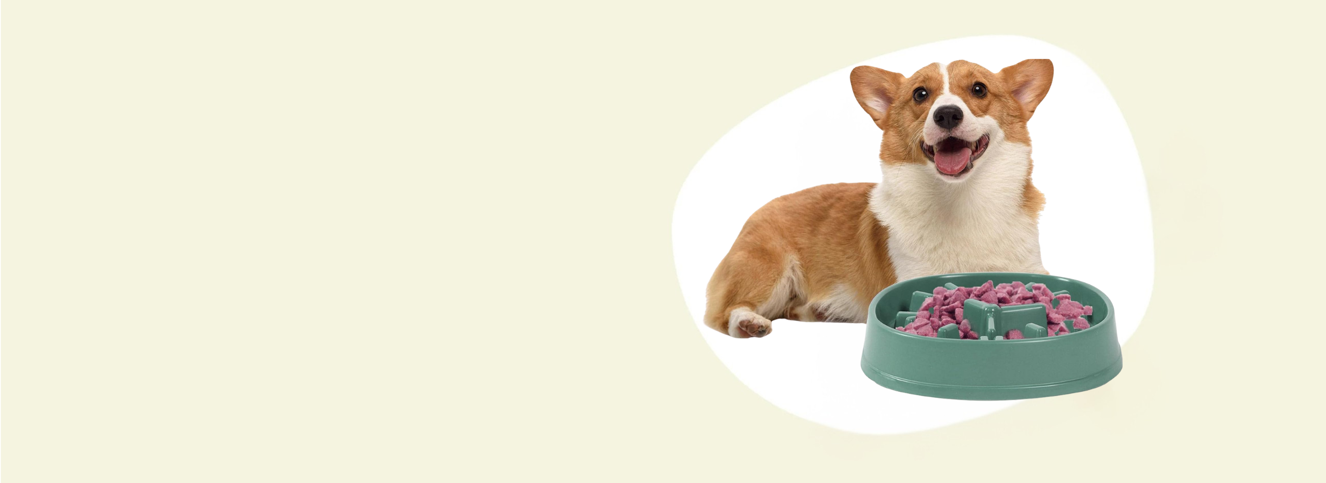 slider image 1621243260e1af0c20-0