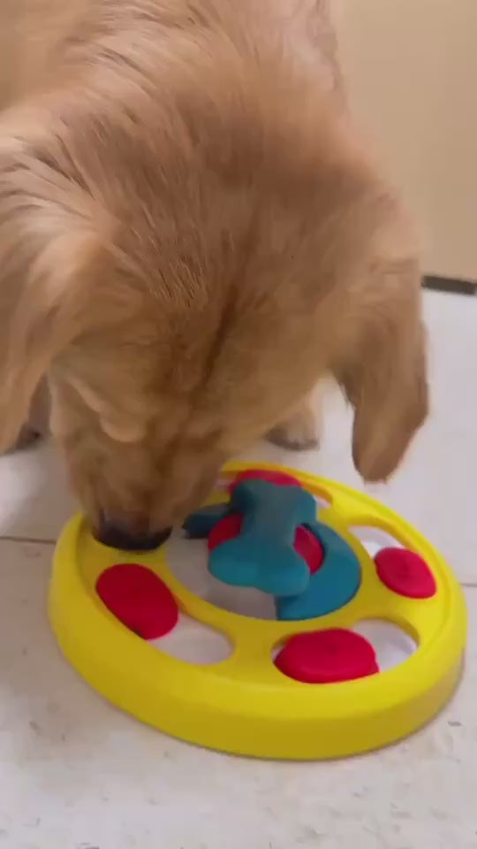 Interactive Slow Feeder & IQ Training Food Dispenser