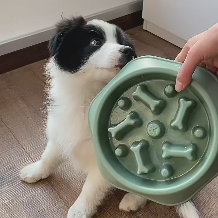 Slow Feeder Dog Bowl