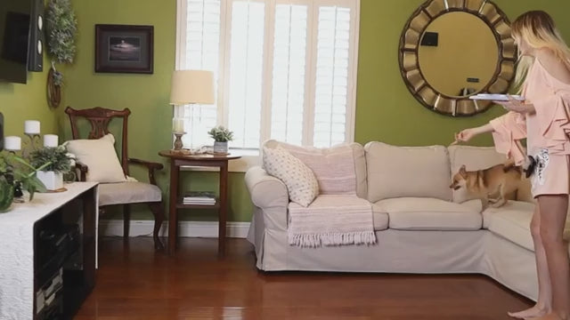 Dog Toys Slow Feeder Interactive IQ Food Dispenser