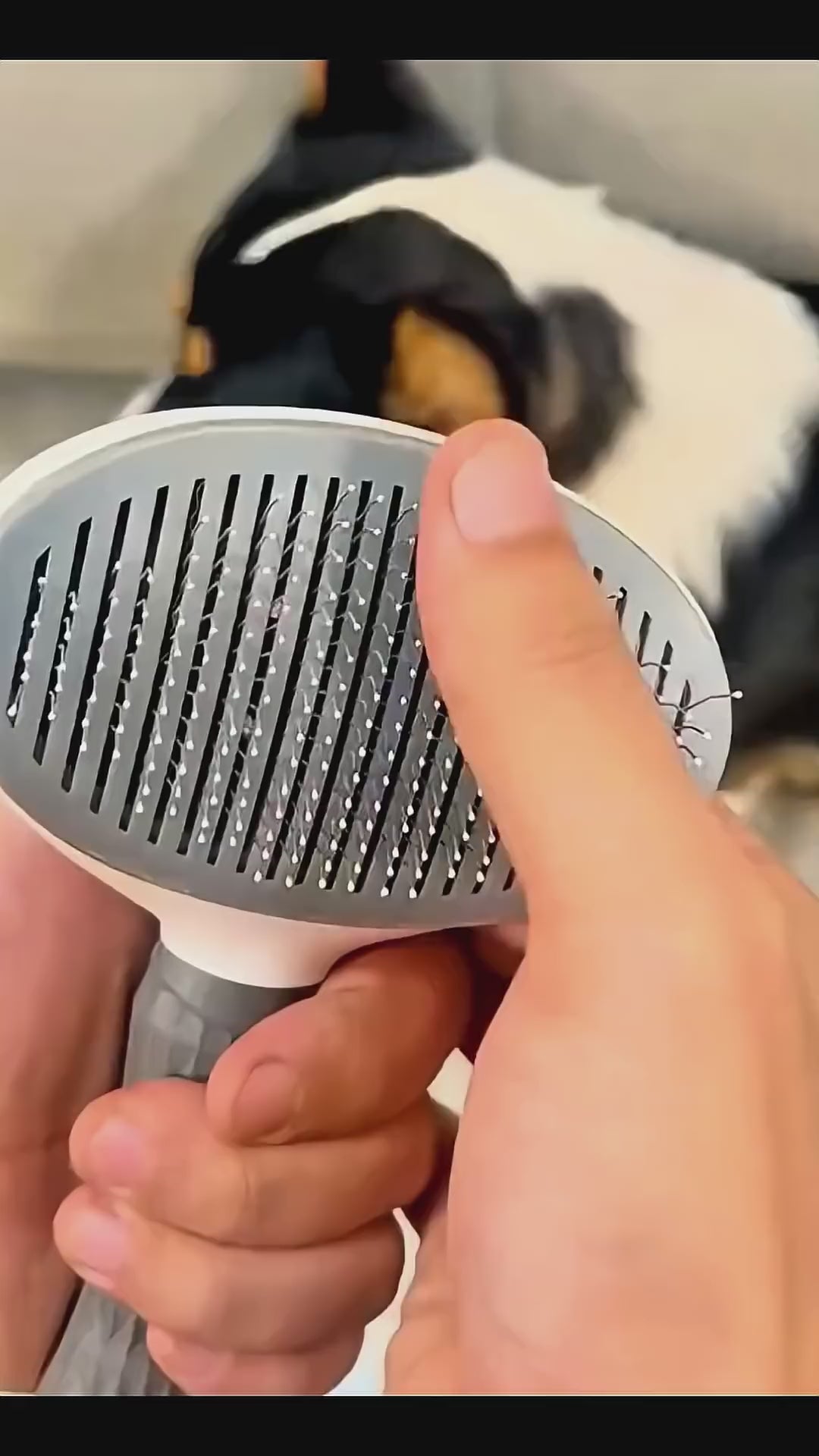 Self-Cleaning Pet Brush for Dogs & Cats