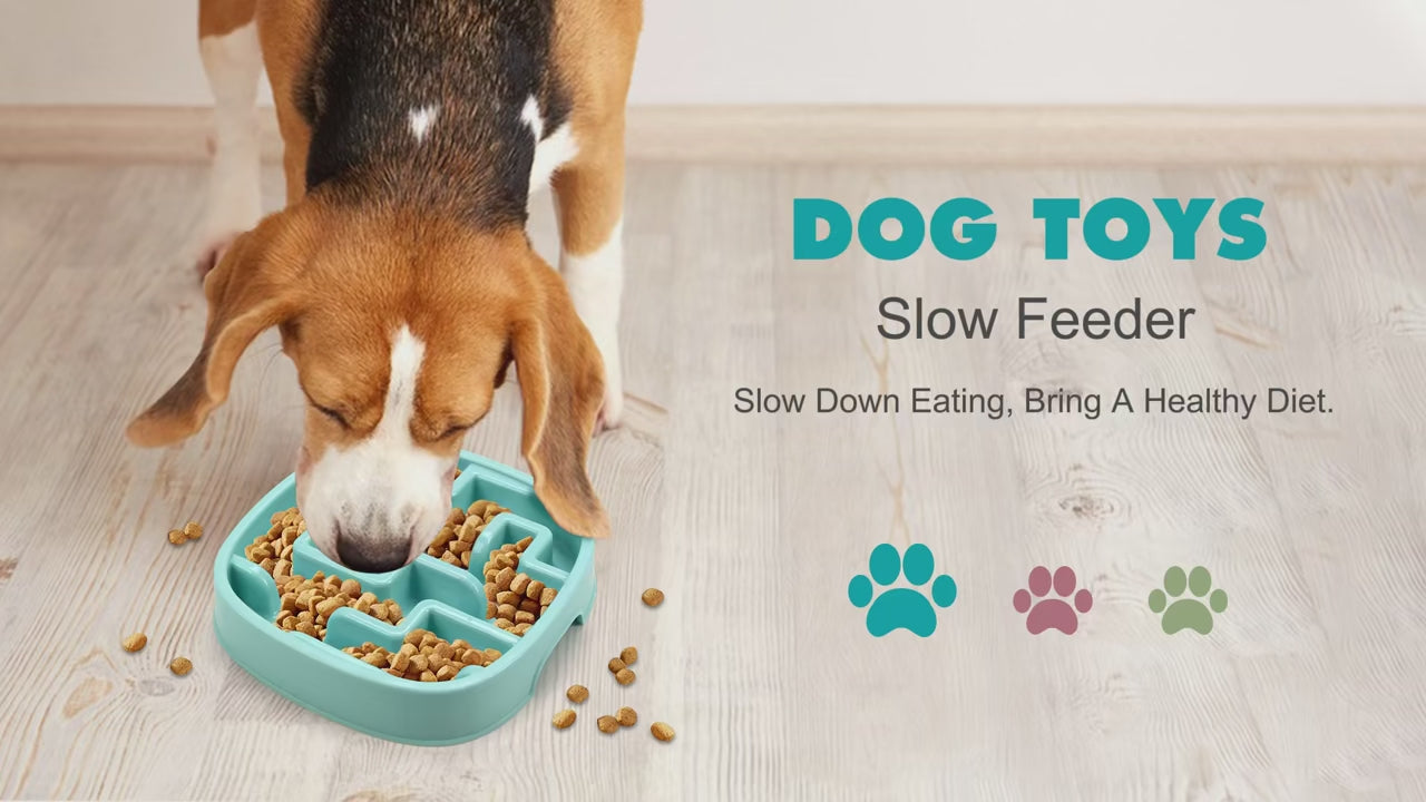 Anti-Choking Slow Feeder Bowl for Dogs & Cats